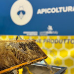 Apicoltura piemonte
