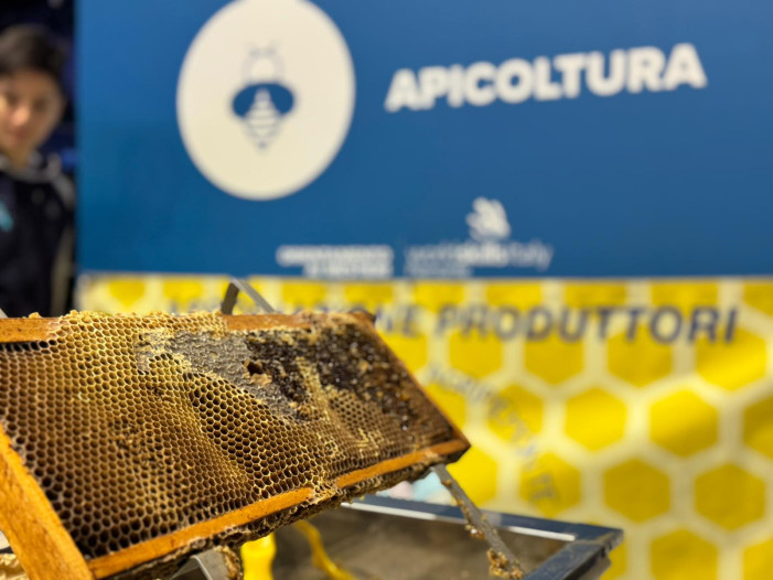 “Il regno delle api, sentinelle della natura” in Piemonte entra a scuola