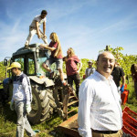 Rovellotti Paolo Olimpo vino