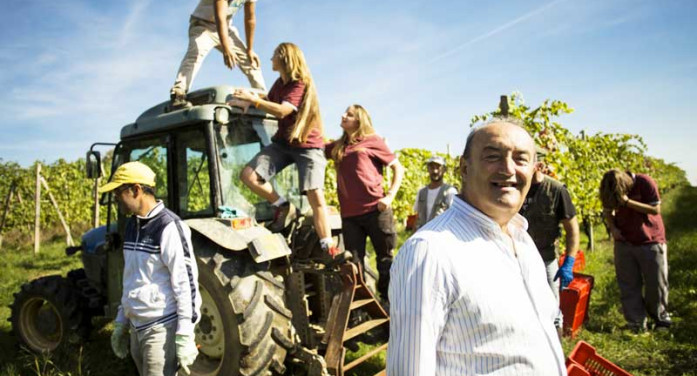 “Ghemme Chioso dei Pomi” nell’Olimpo del vino