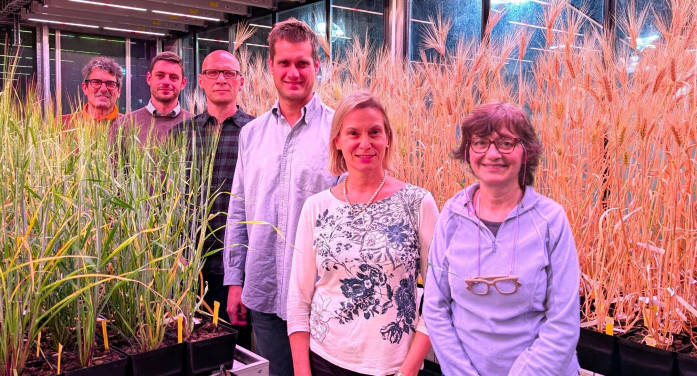 Sustain, rivoluzione nel vertical farm