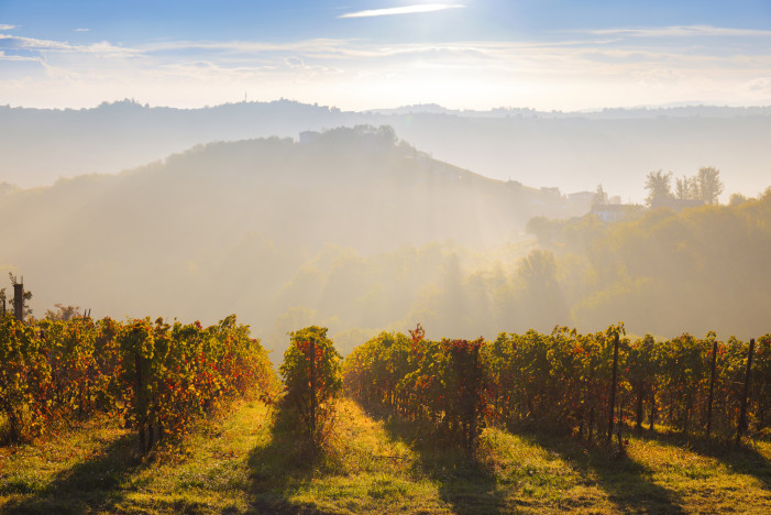 “InVigna”, Oltrepò Pavese tra crisi climatica e innovazione