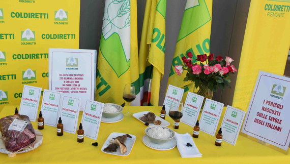 “Carne agli ormoni, riso con pesticidi, servono più controlli”