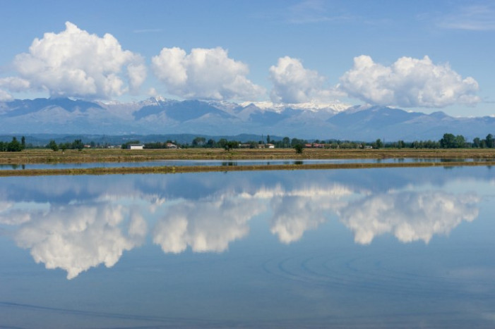 Il mondo del riso ricorda Perucca Il mondo del riso ricorda Perucca
