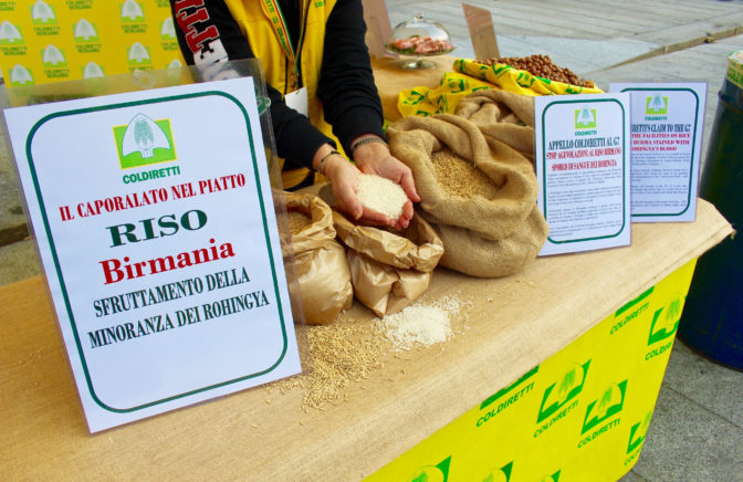 “Prezzi giù, import su. Un situazione inaccettabile”