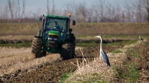 “Urge un tavolo di crisi del comparto riso”