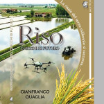 Copertina chicchi di futuro