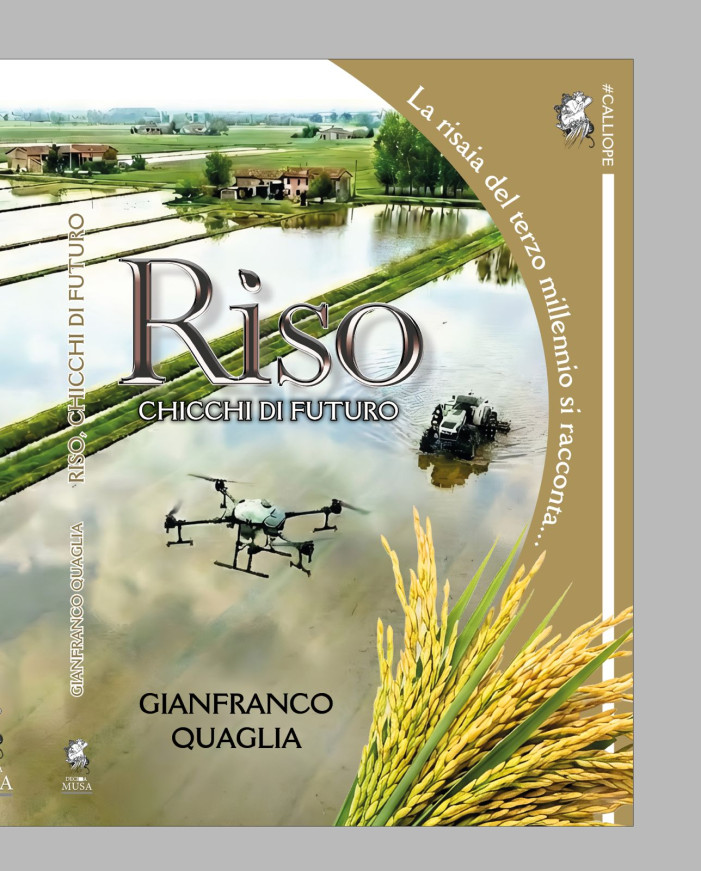 “Chicchi di futuro”, viaggio nella risaia che cambia pelle