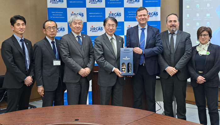 Il Giappone scopre che c’è un altro riso, quello italiano Il Giappone scopre che c’è un altro riso, quello italiano