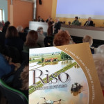 vercelli chicchi5