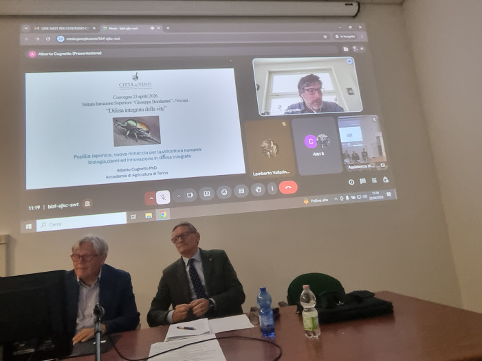 Difesa integrata della vite