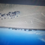 land art arborio bis