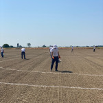 risegno1