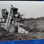 grano2