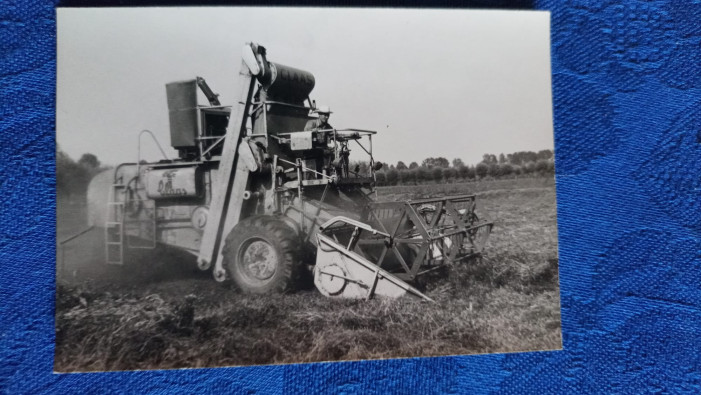 “Andiamo a mietere il grano”