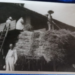 grano3