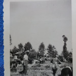 grano4