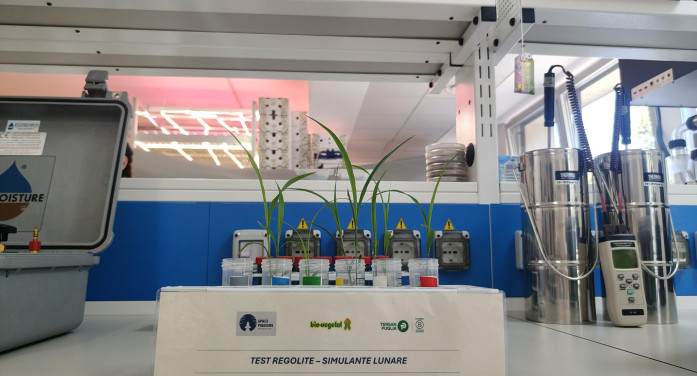 Le piantine lunari nate in laboratorio