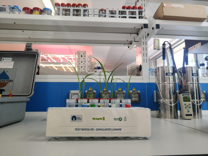 Le piantine lunari nate in laboratorio