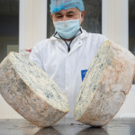 gorgonzola dop produzione 2026