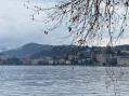 Il Lago di Lugano soccorre la risaia italiana