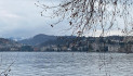 Il Lago di Lugano soccorre la risaia italiana