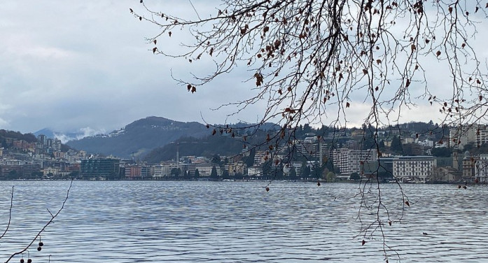 Il Lago di Lugano soccorre la risaia italiana