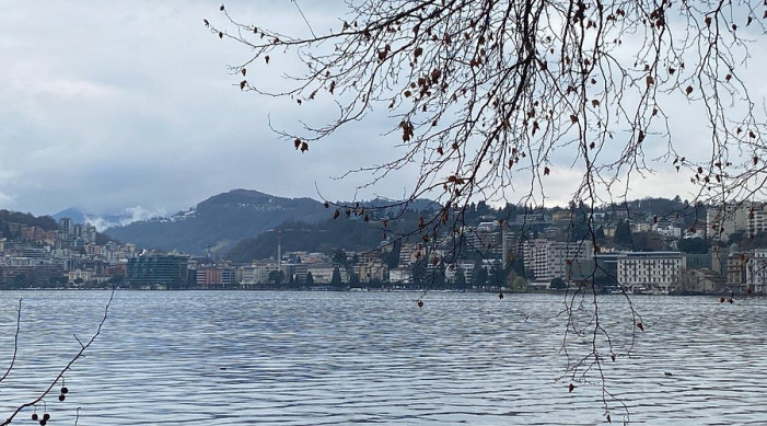Il Lago di Lugano soccorre la risaia italiana