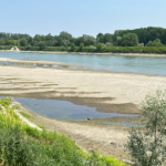 siccita piemonte