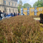risò 100 mila