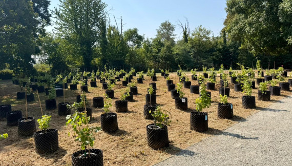 “Rivìtere”, la vigna terapeutica nell’ospedale per malati in cura