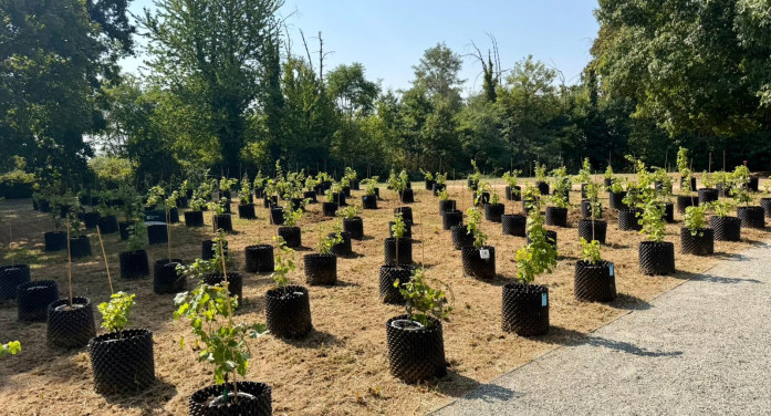 “Rivìtere”, la vigna terapeutica nell’ospedale per malati in cura