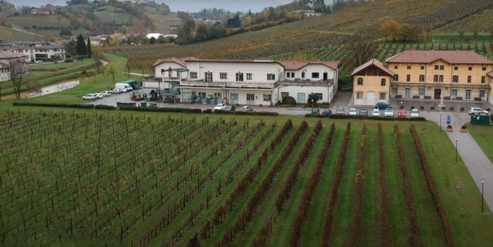 Intelligenza artificiale nel vigneto e in cantina