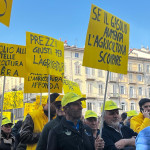 coldiretti sit in4