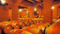 Piemonte, contro le giacenze di vino sostegno di 1,5 milioni ai produttori