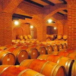 vini e vino